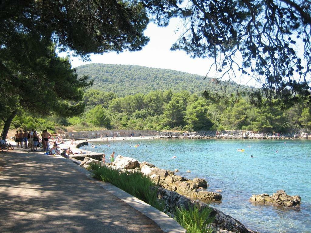 Apartmani Zlataric Stari Grad  Εξωτερικό φωτογραφία